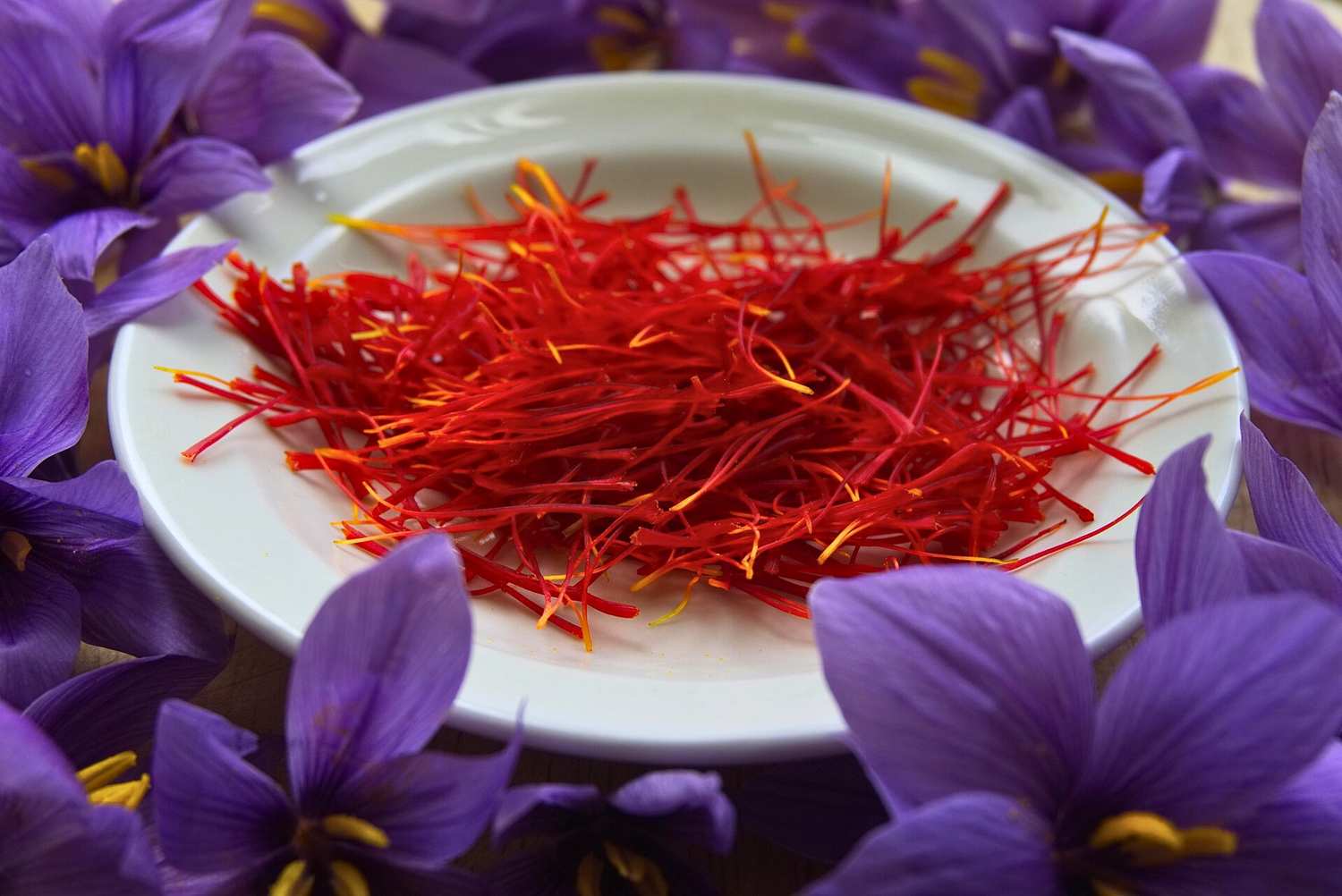Saffron Ember